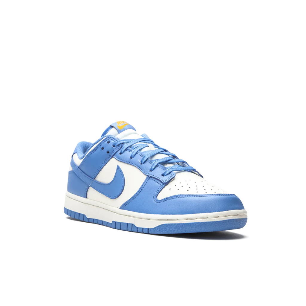 Nike Dunk low Coast
